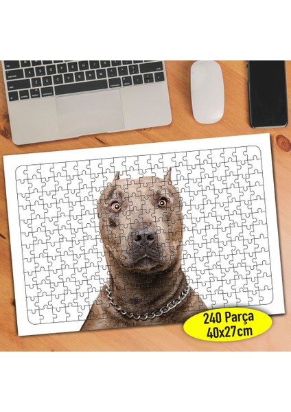 Şaşkın Sevimli Köpek 240 Parça Puzzle Yapboz TABLO-104913171