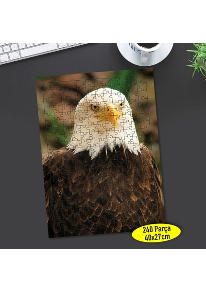Vahşi Doğa Kuşu Kartal 240 Parça Puzzle Yapboz TABLO-9030810