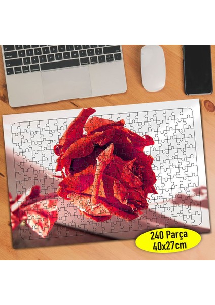 Yakın Çekim Kırmızı Kurumuş Gül 240 Parça Puzzle YAPBOZ-907879