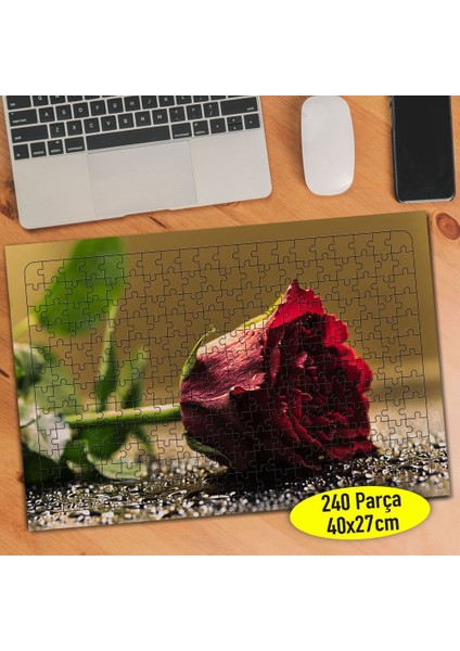 Islak Zeminde Zarif Kırmızı Gül 240 Parça Puzzle YAPBOZ-373873