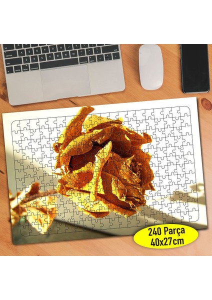 Yakın Çekim Zarif Sarı Kurumuş Gül 240 Parça Puzzle YAPBOZ-7853