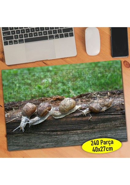 Tahta Üzerinde Salyangoz Ailesi 240 Parça Puzzle YAPBOZ-83610282