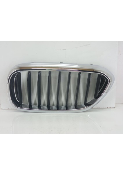 Bmw G30 Basis Sol Panjur 51137383519 | G30 Basis Sol Böbrek-Izgara