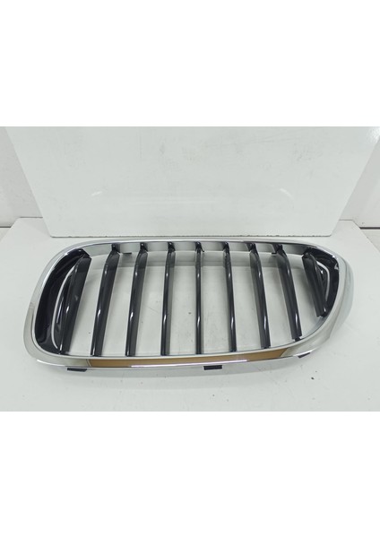 Bmw G30 Basis Sol Panjur 51137383519 | G30 Basis Sol Böbrek-Izgara