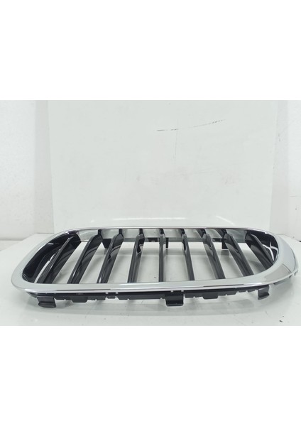 Bmw G30 Basis Sol Panjur 51137383519 | G30 Basis Sol Böbrek-Izgara