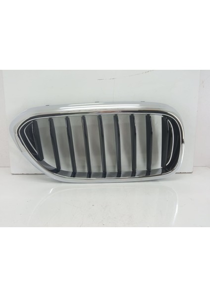 Bmw G30 Basis Sağ Panjur 51137383520 | G30 Basis Sağ Böbrek-Izgara