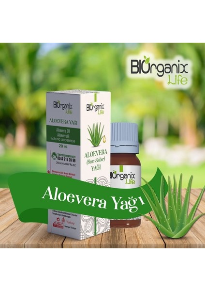 Aloe Vera Yağı