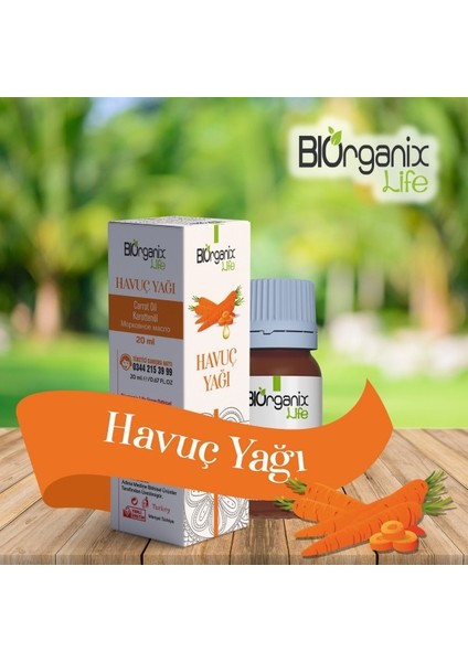 Havuç Yağı 20 ml