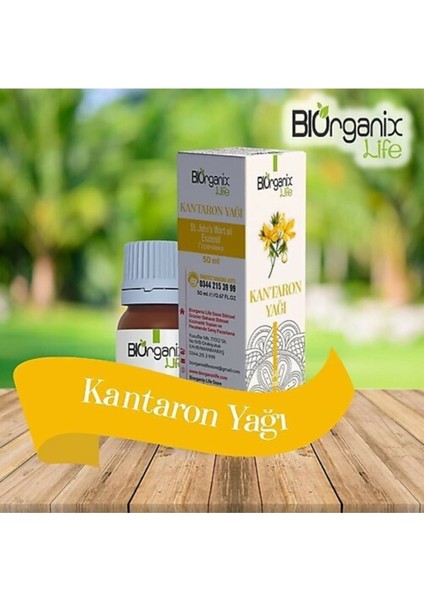 Kantaron Yağı 50 ml