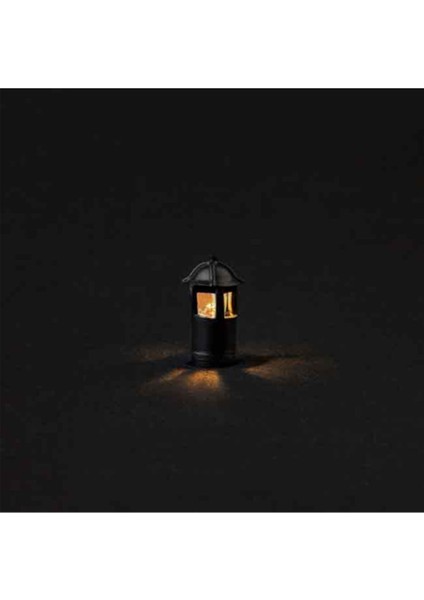 Fener Bahçe LAMBASI--1/100--2 Li