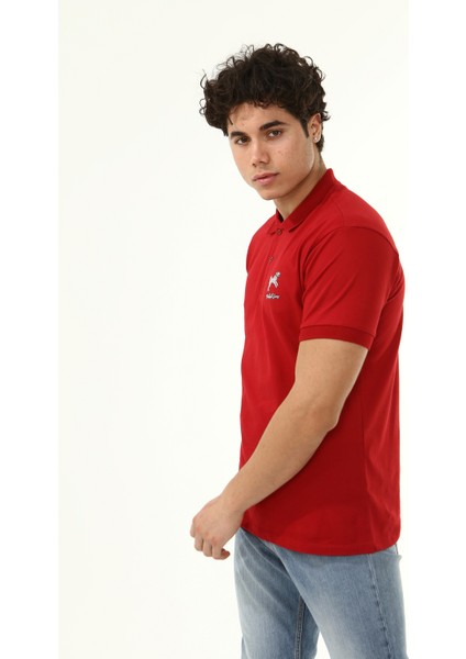 Polo Yaka Arma Baskı T-Shirt modelleri