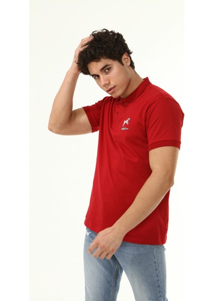 Polo Yaka Arma Baskı T-Shirt fırsatları