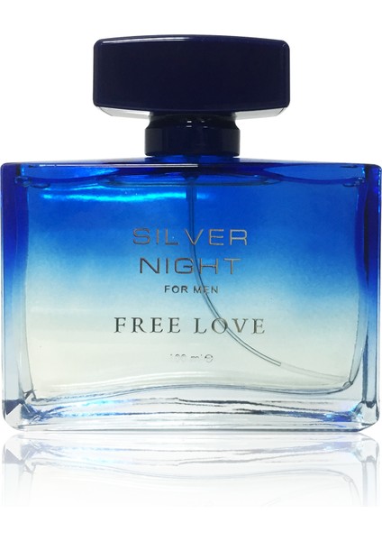 Silver Night EDP Erkek Parfüm 100 ml
