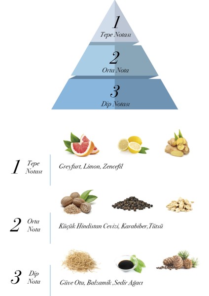 Silver Night EDP Erkek Parfüm 100 ml fiyatları