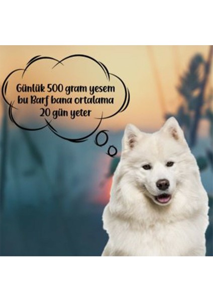 - Mix Barf 20 kg Salam Köpek Maması (40 Paket - 500 Gr)