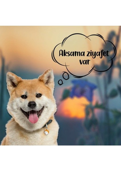 Barftr - Mix Barf 20 kg Salam Köpek Maması (26 Paket - 770 Gr)