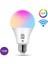 S-Link Swapp SL-RGB15 Akıllı Rgb LED Lamba Ampul 15W 50Hz 1200 Lümen Wifi Tuya Destekli 2