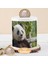 Ormanda Gülümseyen Sevimli Panda Para Birikim Kumbarası -135179 1