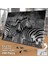 Asil Hobi Zebra - Vahşi Yaşam -Hayvanlar - Doğa Yapboz -Ayak Destekli Çerçeveli 240 Parça Puzzle 2