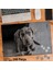 Asil Hobi Kahverengi Sevimli Köpek - Hayvan Yapboz- Ayak Destekli Çerçeveli 240 Parça Puzzle 1