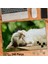 Asil Hobi Huzurlu Uyuyan Kedi-Evcil Hayvanlar-Doğa Yapboz -Ayak Destekli Çerçeveli 240 Parça Puzzle 2