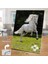 Asil Hobi Beyaz At - Doğa - Hayvan Yapboz - Ayak Destekli Çerçeveli 240 Parça Puzzle 2
