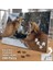 Asil Hobi Kış - Kar - Orman -Tilki - Vahşi Hayvan Yapboz - Ayak Destekli Çerçeveli 240 Parça Puzzle 2