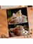 Asil Hobi Sevimli Kedi - Balık -Fanus Yapboz - Ayak Destekli Çerçeveli 240 Parça Puzzle 1