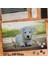 Asil Hobi Yavru Beyaz Köpek -Evcil Hayvanlar -Doğa Yapboz -Ayak Destekli Çerçeveli 240 Parça Puzzle 1