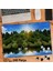 Asil Hobi Ağaçlar - Kuğu - Göl - Manzara - Doğa Yapboz -Ayak Destekli Çerçeveli 240 Parça Puzzle 1