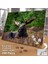 Asil Hobi Siyah Geyik - Vahşi Hayvan - Doğa Yapboz - Ayak Destekli Çerçeveli 240 Parça Puzzle 2