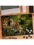 Asil Hobi Leopar - Vahşi Hayvan - Doğa Yapboz - Ayak Destekli Çerçeveli 240 Parça Puzzle 1