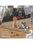 Asil Hobi Turuncu ve Beyaz Kedi -Sevimli Hayvanlar Yapboz - Ayak Destekli Çerçeveli 240 Parça Puzzle 2
