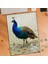Sevimli Tavus Kuşu Hayvanı 240 Parça Puzzle YAPBOZ-74797 1