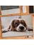 Sevimli-Umursamaz Köpek 240 Parça Puzzle YAPBOZ-12666 1