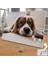 Sevimli-Umursamaz Köpek 240 Parça Puzzle YAPBOZ-12666 2