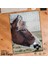 Asil Hobi At - Vahşi Yaşam - Hayvan Yapboz - Ayak Destekli Çerçeveli 240 Parça Puzzle 1
