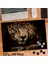Asil Hobi Jaguar - Vahşi Yaşam - Yırtıcı Hayvan Yapboz -Ayak Destekli Çerçeveli 240 Parça Puzzle 1