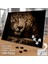 Asil Hobi Jaguar - Vahşi Yaşam - Yırtıcı Hayvan Yapboz -Ayak Destekli Çerçeveli 240 Parça Puzzle 2