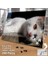 Asil Hobi Mutsuz Kedi - Dalgın - Sevimli Hayvan Yapboz -Ayak Destekli Çerçeveli 240 Parça Puzzle 2