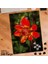 Asil Hobi Turuncu - Sarı Çiçek - Bitki - Peyzaj Yapboz -Ayak Destekli Çerçeveli 240 Parça Puzzle 1