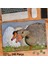 Asil Hobi Kaz - Kuşu - Doğa - Kümes Hayvanları Yapboz -Ayak Destekli Çerçeveli 240 Parça Puzzle 1