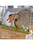 Asil Hobi Kaz - Kuşu - Doğa - Kümes Hayvanları Yapboz -Ayak Destekli Çerçeveli 240 Parça Puzzle 2