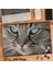 Asil Hobi Keskin Bakışlı Mavi Gözlü Kedi -Hayvan Yapboz -Ayak Destekli Çerçeveli 240 Parça Puzzle 1