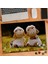 Iki Sevimli Kuzucuklar 240 Parça Puzzle YAPBOZ-75109 1