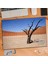Kurak Çölde Kuru Ağaç 240 Parça Puzzle Yapboz TABLO-470 1