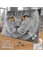 Asil Hobi Scottish Fold - Gri Tüylü Sevimli Kedi Yapboz-Ayak Destekli Çerçeveli 240 Parça Puzzle 2