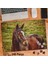 Asil Hobi Horse- Kahverengi At -Hayvan- Kır - Çimen Yapboz -Ayak Destekli Çerçeveli 240 Parça Puzzle 1