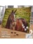 Asil Hobi Horse- Kahverengi At -Hayvan- Kır - Çimen Yapboz -Ayak Destekli Çerçeveli 240 Parça Puzzle 2