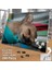 Asil Hobi Chihuahua - Uyuyan Sevimli Köpek -Hayvan Yapboz -Ayak Destekli Çerçeveli 240 Parça Puzzle 2